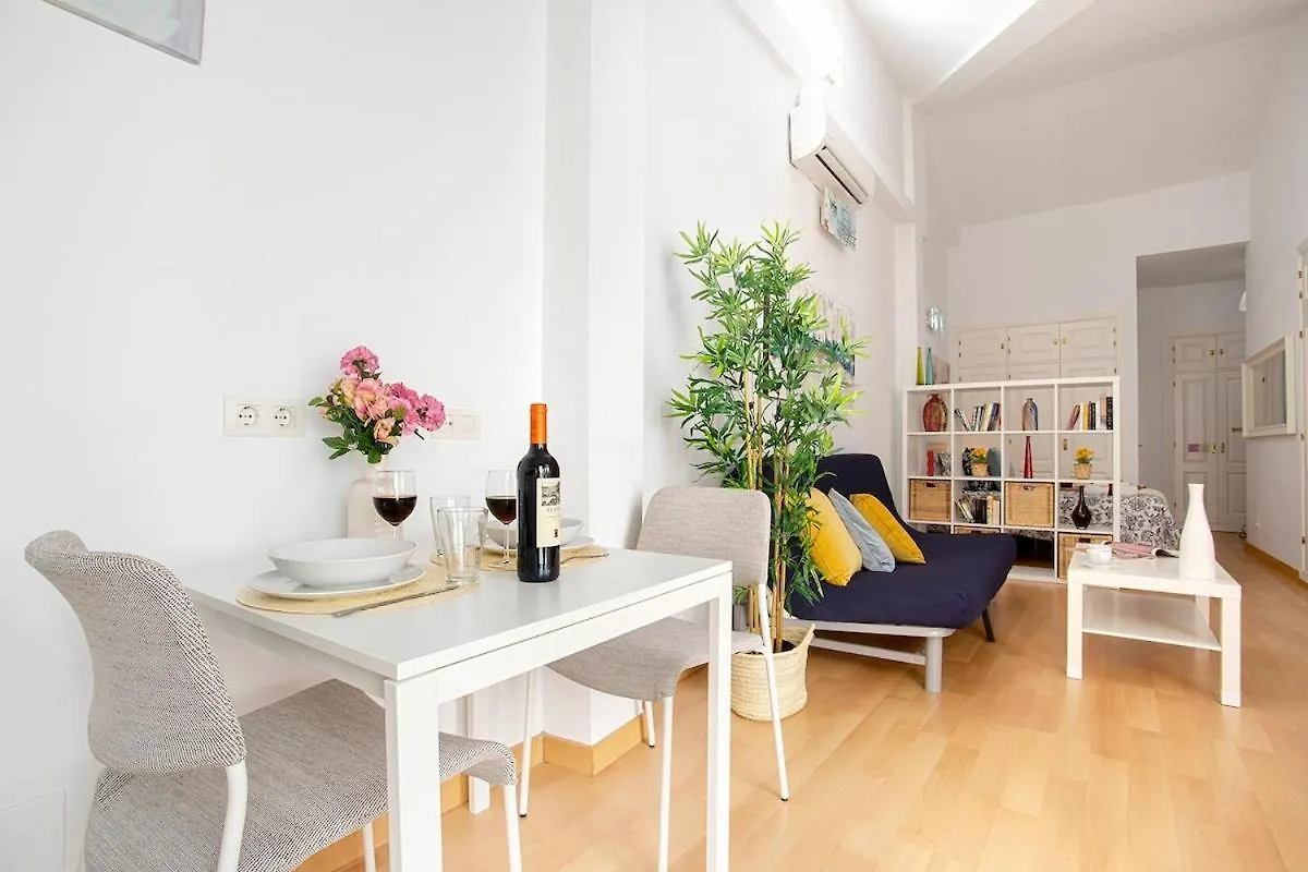 -Malagasunapts- Central Penthouse Terrace&Relax 0*, Malaga Spain