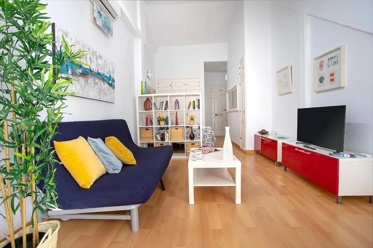 -Malagasunapts- Central Penthouse Terrace&Relax Apartment Malaga